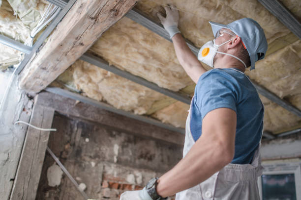Best Eco-Friendly Insulation in Lake Hamilton, AR