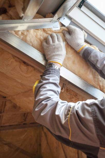 Best DIY Insulation Kits and Guidance in Lake Hamilton, AR
