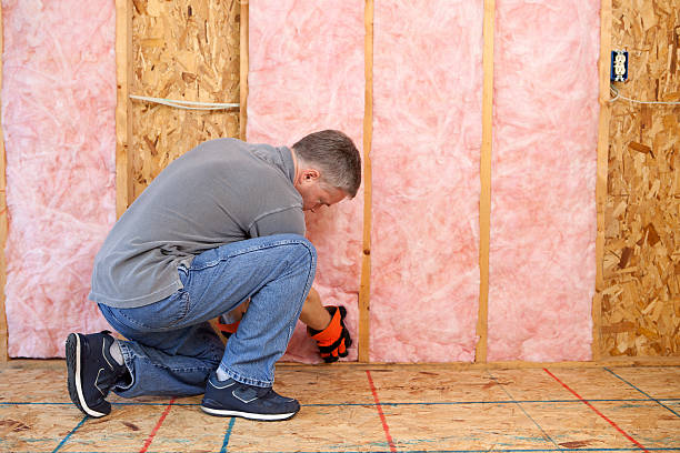 Best Spray Foam Insulation in Lake Hamilton, AR